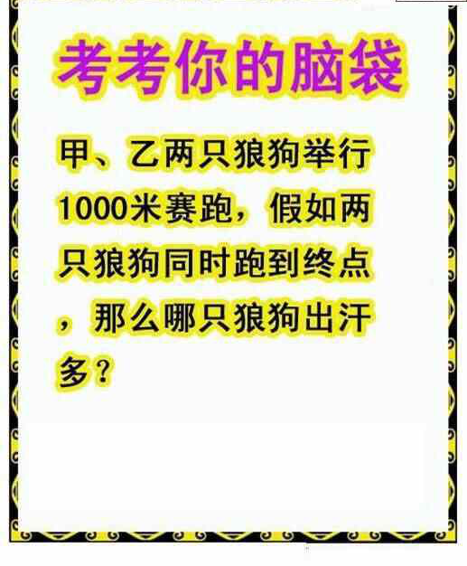 23149期: 白老3D杀码图版