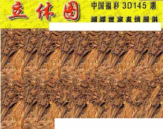 23145期: 3D蝴蝶世家蝴蝶彩图