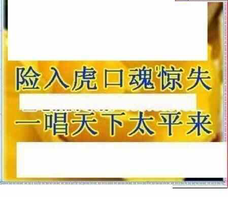 24050期: 三毛3D精品图谜