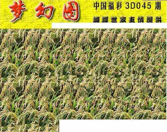 24045期: 3D蝴蝶世家蝴蝶彩图