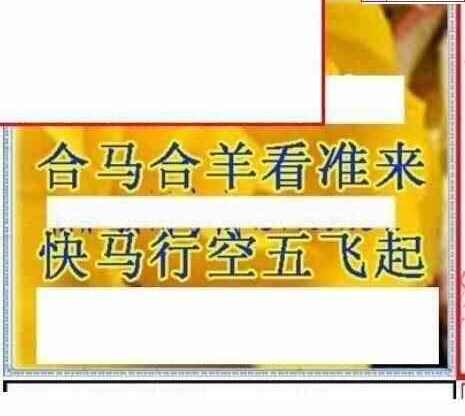 24059期: 三毛3D精品图谜