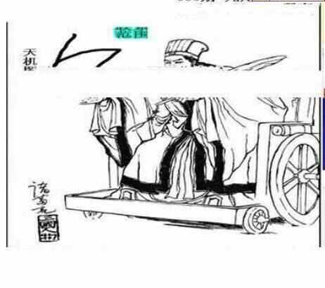 24063期: 三毛3D精品图谜