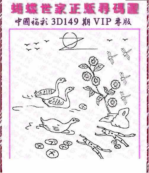 23149期: 3D蝴蝶世家蝴蝶彩图