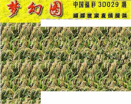 24029期: 3D蝴蝶世家蝴蝶彩图