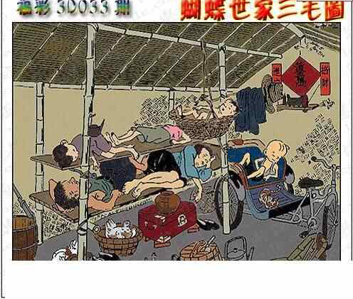 24033期: 3D蝴蝶世家蝴蝶彩图