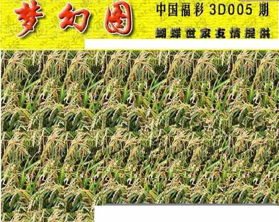 24005期: 3D蝴蝶世家蝴蝶彩图