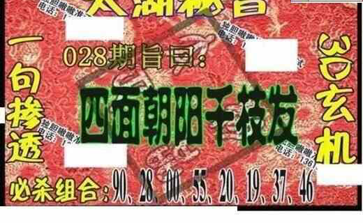 24028期: 太湖图福彩3D精品预测