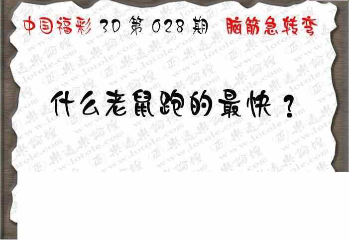 24028期: 3D蝴蝶世家蝴蝶彩图