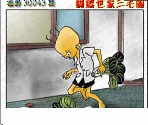 24043期: 3D蝴蝶世家蝴蝶彩图