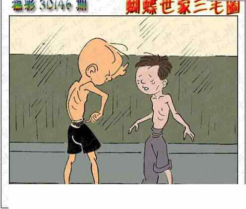 23146期: 3D蝴蝶世家蝴蝶彩图