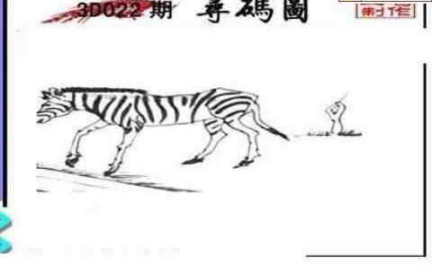 24022期: 三毛3D精品图谜