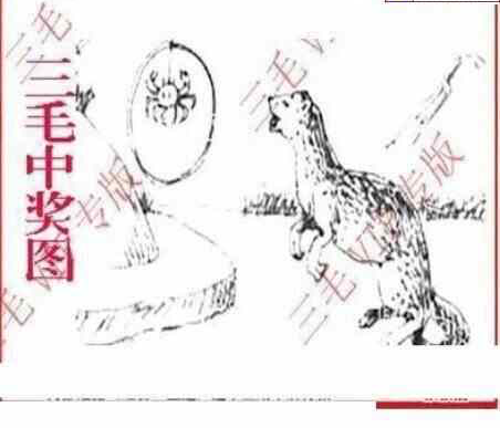 24029期: 三毛3D精品图谜