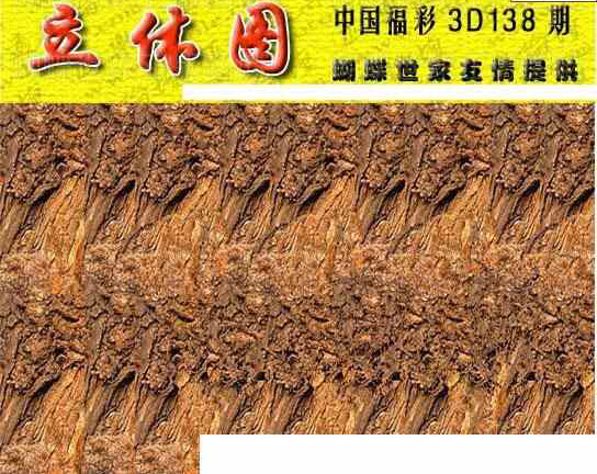 23138期: 3D蝴蝶世家蝴蝶彩图