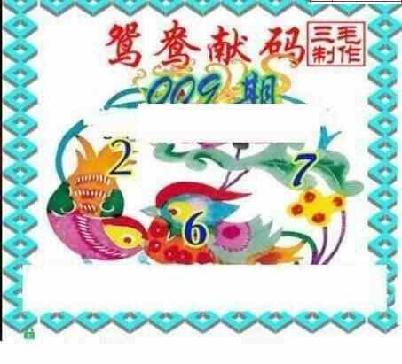 24009期: 三毛3D精品图谜