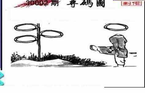 24002期: 三毛3D精品图谜