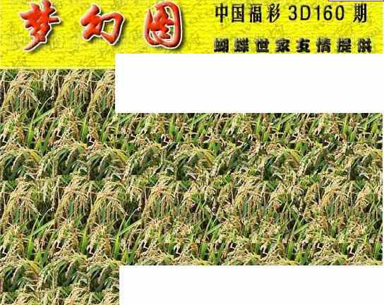 23160期: 3D蝴蝶世家蝴蝶彩图