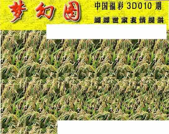 24010期: 3D蝴蝶世家蝴蝶彩图