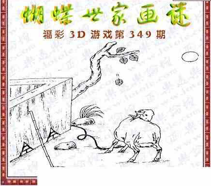 23349期: 3D蝴蝶世家蝴蝶彩图