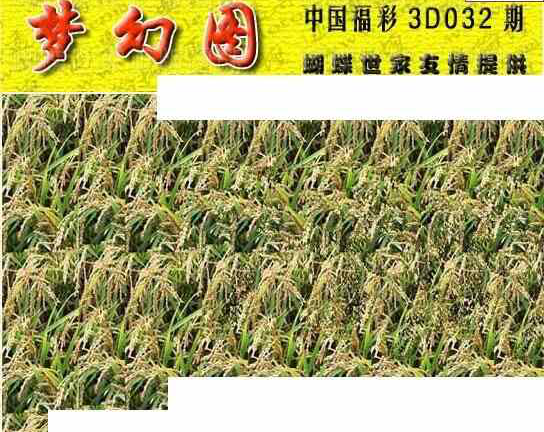 24032期: 3D蝴蝶世家蝴蝶彩图