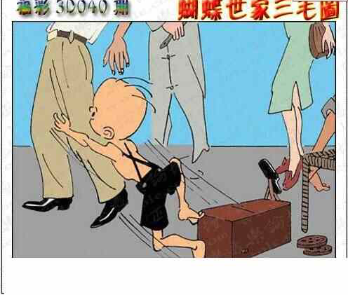 24040期: 3D蝴蝶世家蝴蝶彩图