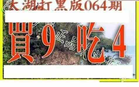 24064期: 太湖图福彩3D精品预测