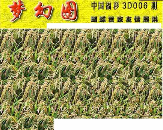 24006期: 3D蝴蝶世家蝴蝶彩图