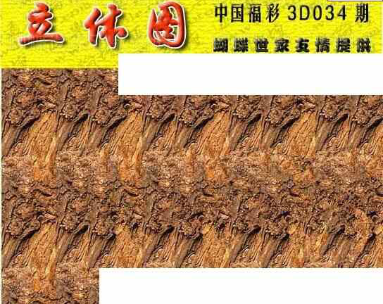 24034期: 3D蝴蝶世家蝴蝶彩图