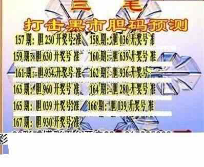 23167期: 三毛3D精品图谜