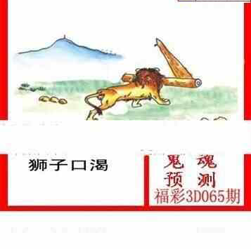 24065期: 白老3D杀码图版