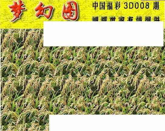 24008期: 3D蝴蝶世家蝴蝶彩图