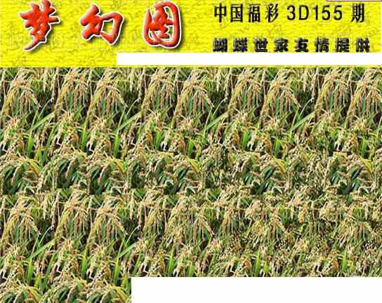 23155期: 3D蝴蝶世家蝴蝶彩图