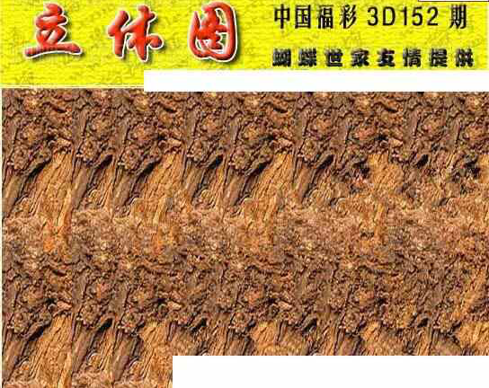 23152期: 3D蝴蝶世家蝴蝶彩图