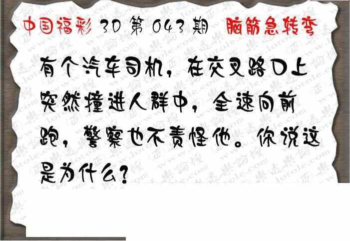 24043期: 3D蝴蝶世家蝴蝶彩图