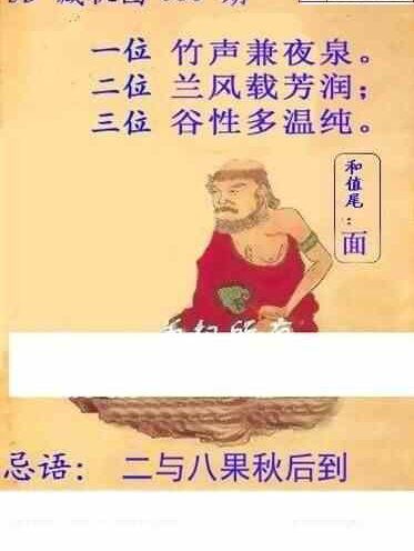 24056期: 白老3D杀码图版