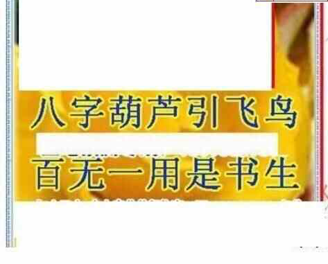 24019期: 三毛3D精品图谜