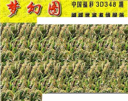 23348期: 3D蝴蝶世家蝴蝶彩图