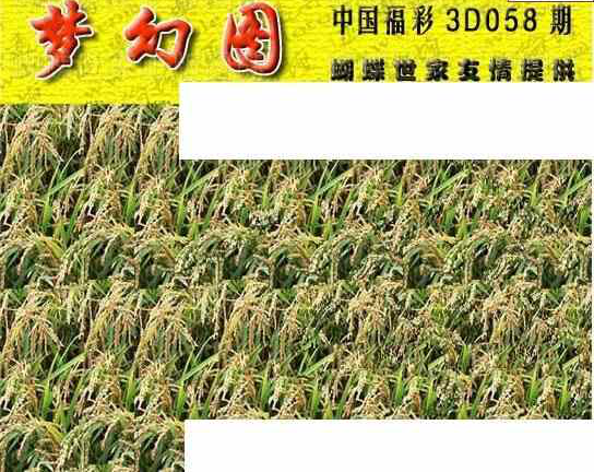 24058期: 3D蝴蝶世家蝴蝶彩图