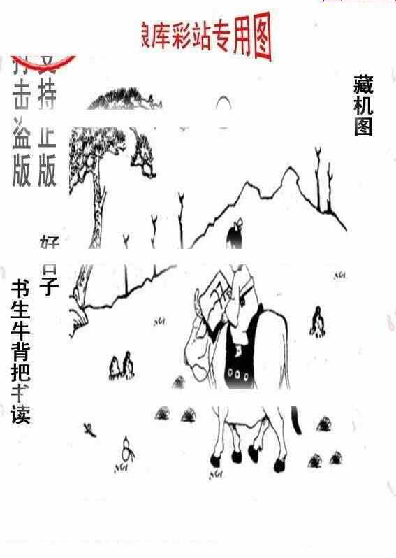 24004期: 老村长福彩3D天天图谜