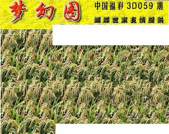 24059期: 3D蝴蝶世家蝴蝶彩图