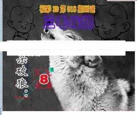 24018期: 三毛3D精品图谜