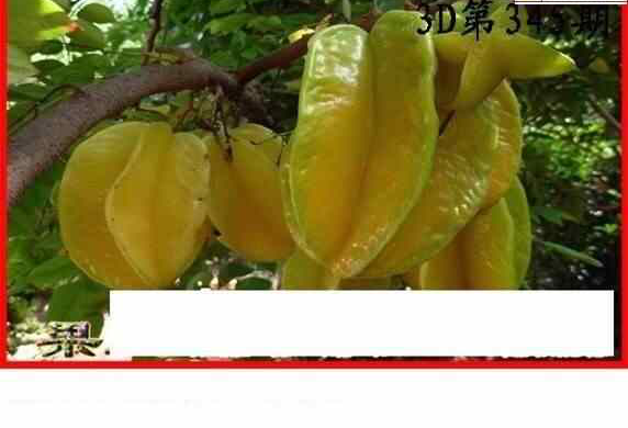 23345期: 白老3D杀码图版