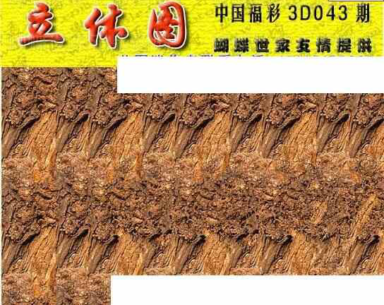 24043期: 3D蝴蝶世家蝴蝶彩图