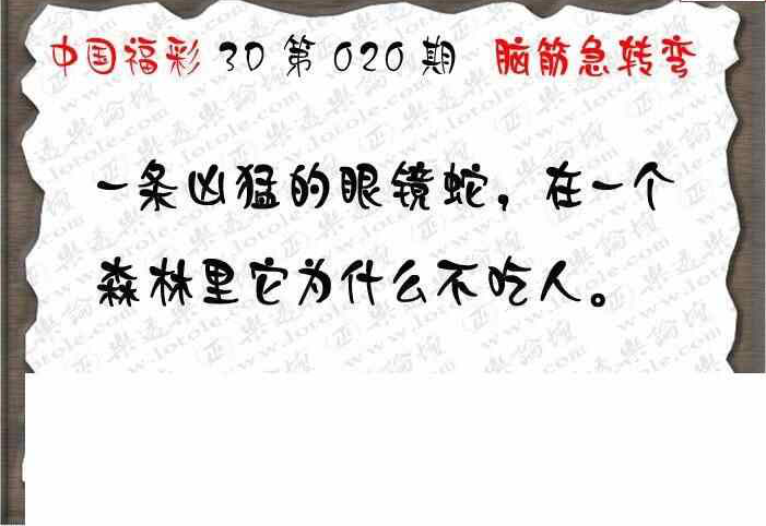 24020期: 3D蝴蝶世家蝴蝶彩图