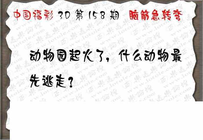 23158期: 3D蝴蝶世家蝴蝶彩图