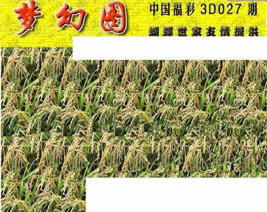 24027期: 3D蝴蝶世家蝴蝶彩图