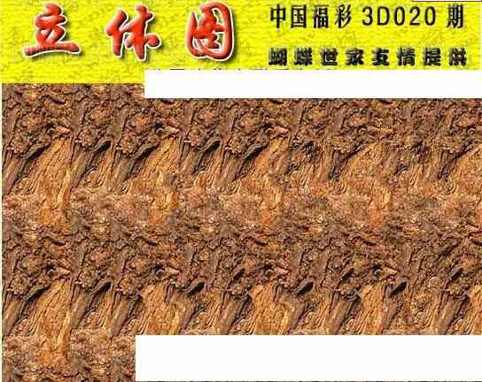 24020期: 3D蝴蝶世家蝴蝶彩图