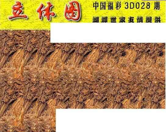 24028期: 3D蝴蝶世家蝴蝶彩图