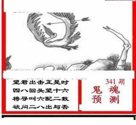 23341期: 三毛3D精品图谜