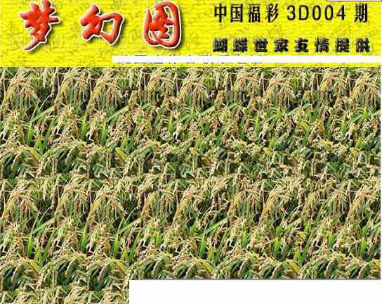 24004期: 3D蝴蝶世家蝴蝶彩图