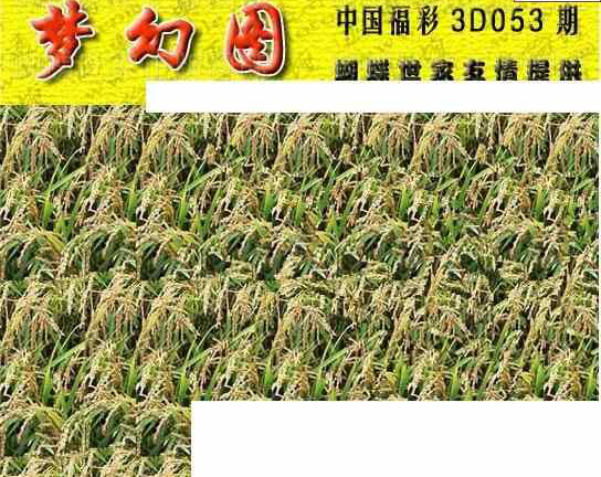 24053期: 3D蝴蝶世家蝴蝶彩图